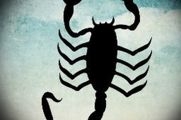 Kraken market3