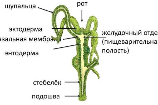 Как найти официальный сайт кракен