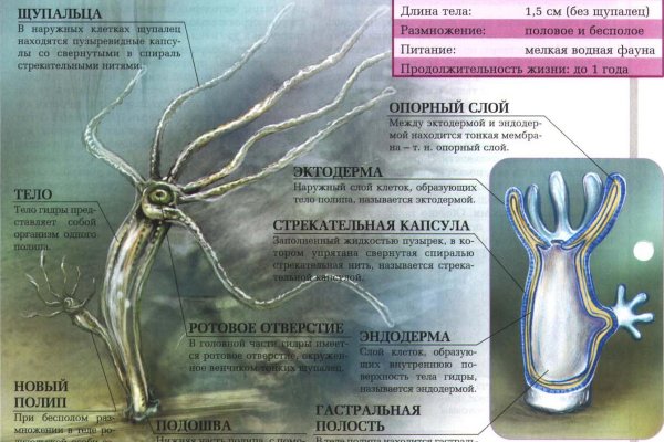 Kraken сайт зеркала