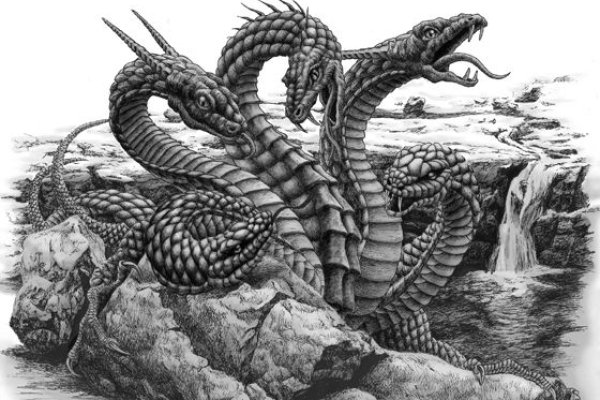 Kraken 4 ссылка