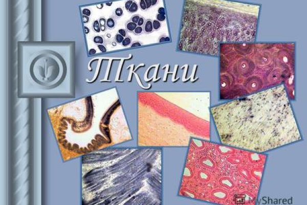 Ссылка на кракен оригинал