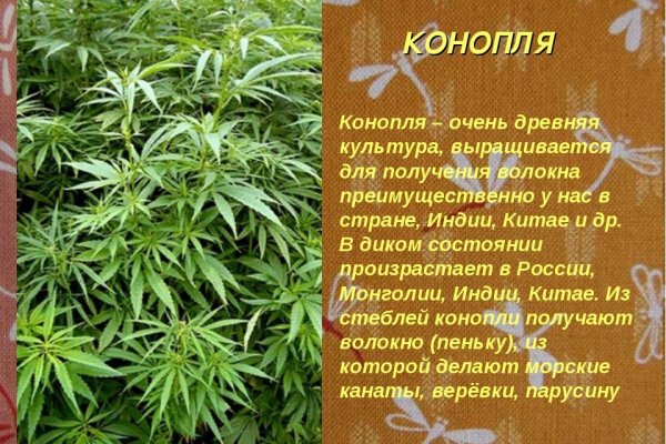 Кракен сайт в тор браузере