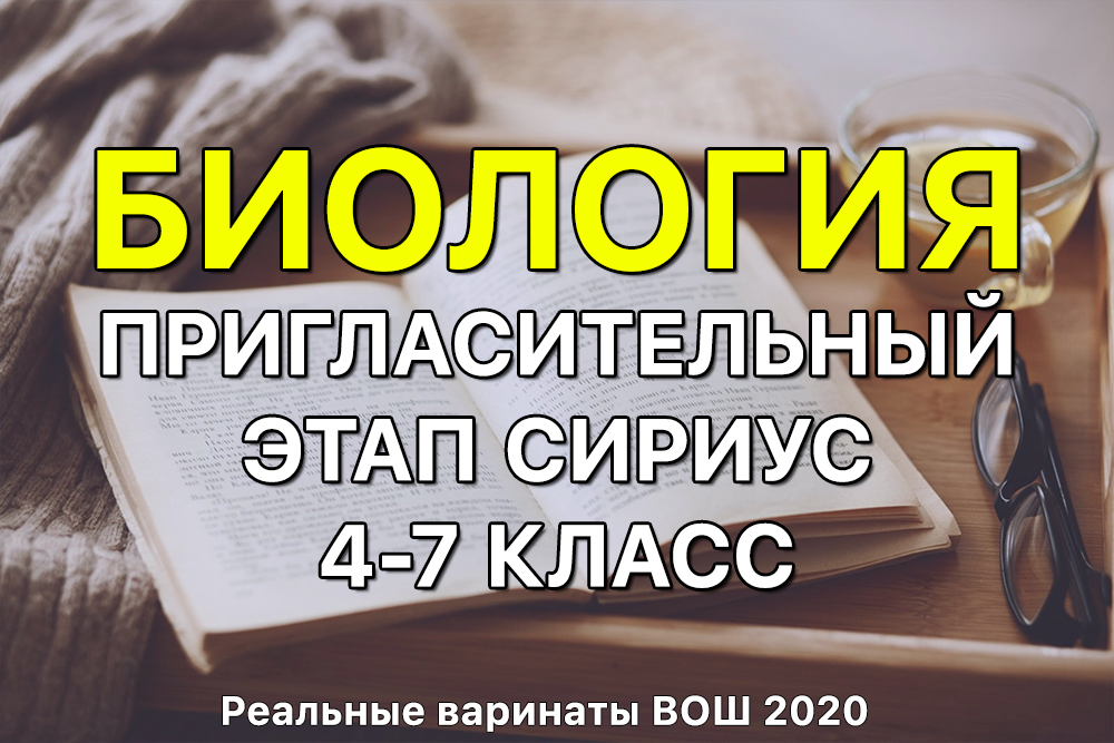 Даркнет площадки