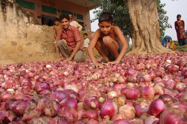 Kraken рабочая ссылка onion
